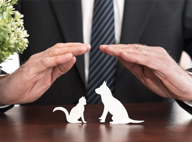 Assurance animaux